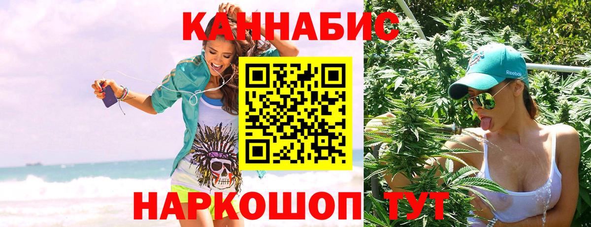 Канабис OG Kush Новороссийск